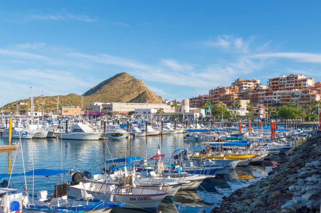 This image has an empty alt attribute; its file name is istock-1087969816-62a122a79b6c3-65f8966e9302e.jpg